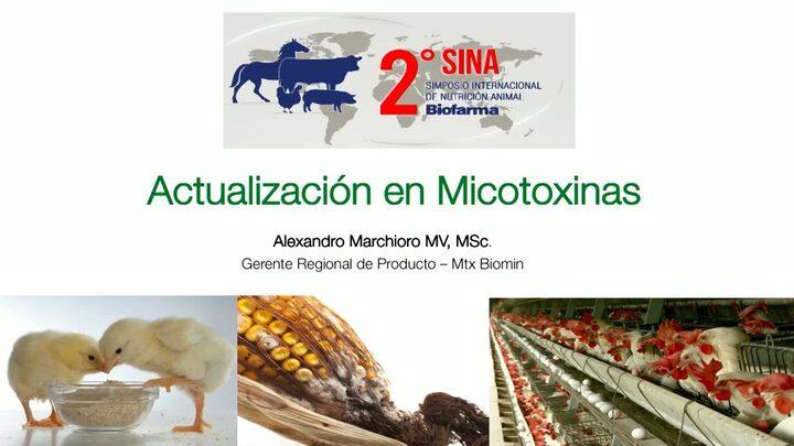 Actualización en micotoxinas