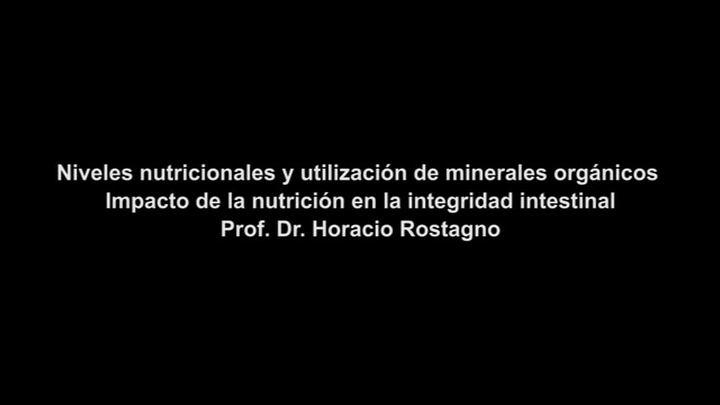 Prof. Rostagno: Minerales orgánicos, Impacto de la nutrición en la integridad intestinal