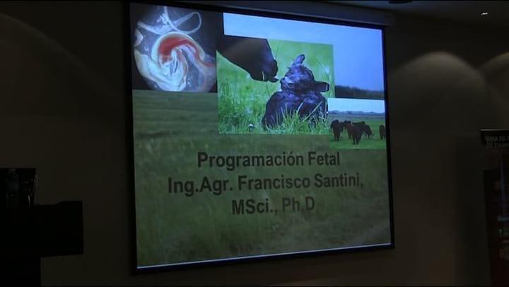 Programación Fetal en vacunos. Ing. Agr. Francisco Santini