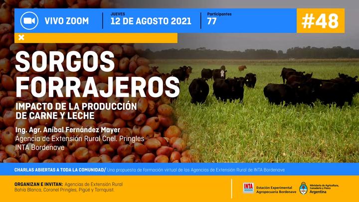 Sorgos Forrajeros: Impacto de la producción de carne y leche. 1era Parte