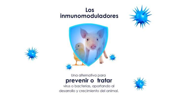Inmunomoduladores para prevenir o tratar virus o bacterias