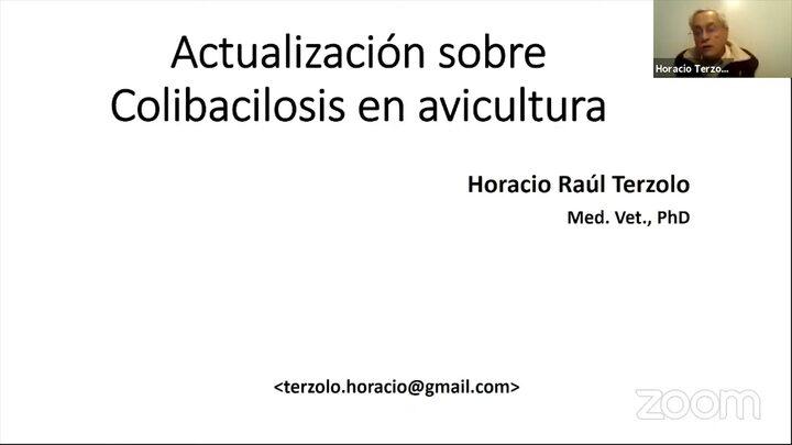 Colibacilosis en Avicultura: Horacio Terzolo