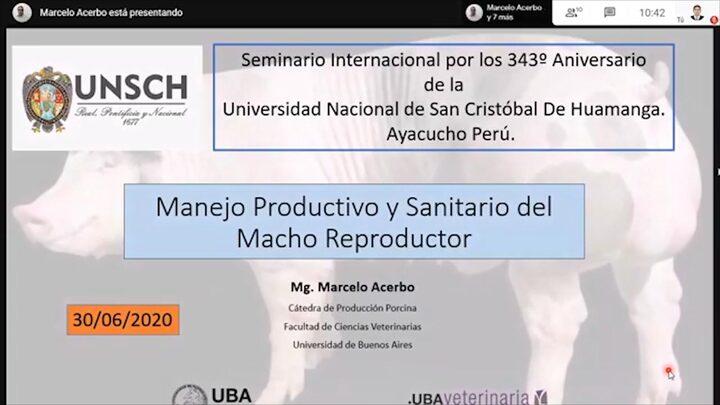 Macho reproductor, Manejo productivo y sanitario: Marcelo Acerbo