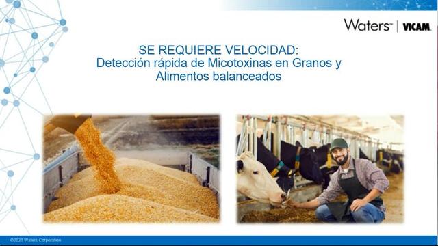 Detección rápida de Micotoxinas en granos y alimentos balanceados