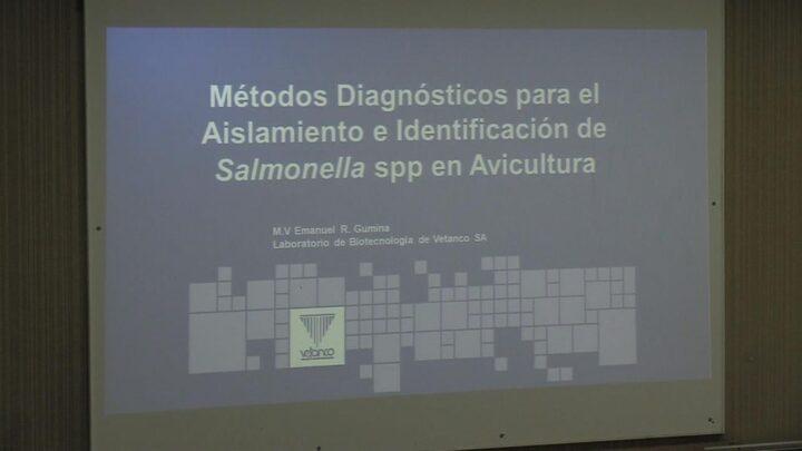 Métodos de diagnóstico para el aislamiento e identificación de Salmonella spp en avicultura