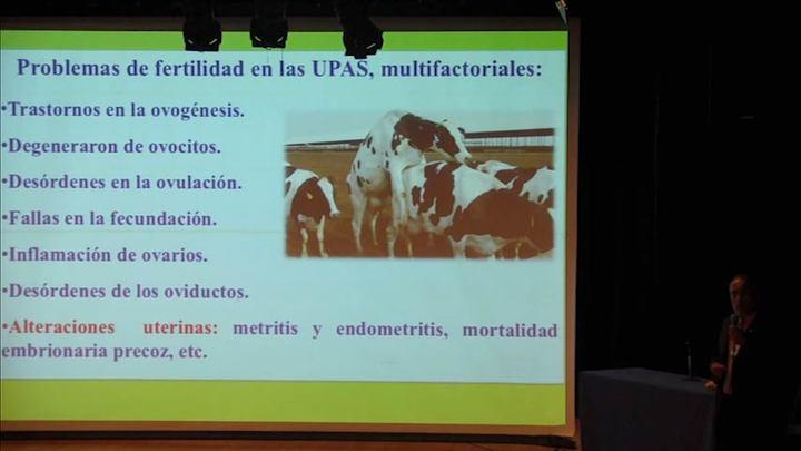 Factores que provocan baja fertilidad en vacas