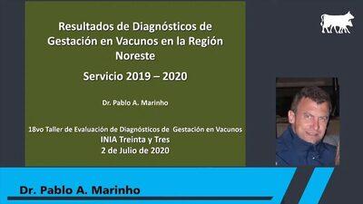 Uruguay - Diagnóstico de gestación 2020 Noreste