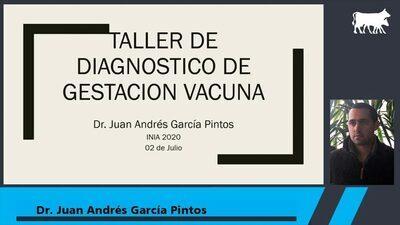 Uruguay - Diagnóstico de gestación 2020 Florida