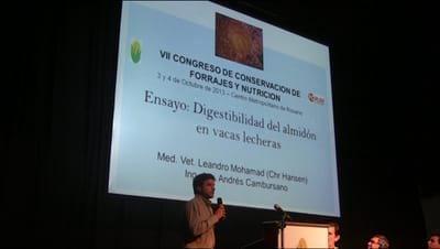 Ensayo 1: Digestibilidad del Almidón en vaca lecheras. Ing. Agr. Andres Cambursano
