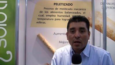 Aglutinante para Pellet: Evaristo Gutierrez