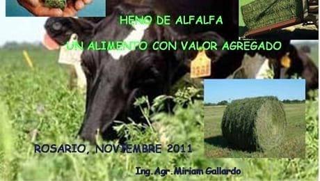 Heno de Alfalfa en la Dieta: Miriam Gallardo en V Congreso de Conservación de Forrajes y Nutrición