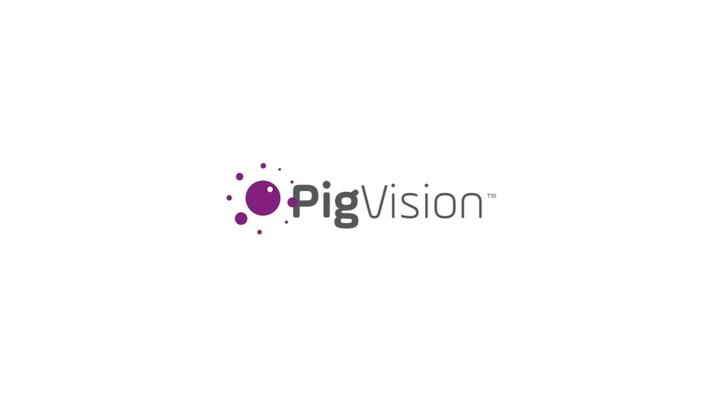 PigVision: cámara de pesaje de cerdos