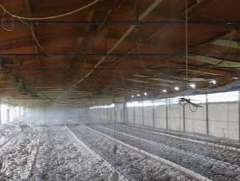 Enfriamiento de galpones avicolas: Proyección Técnica Agropecuaria SA de CV
