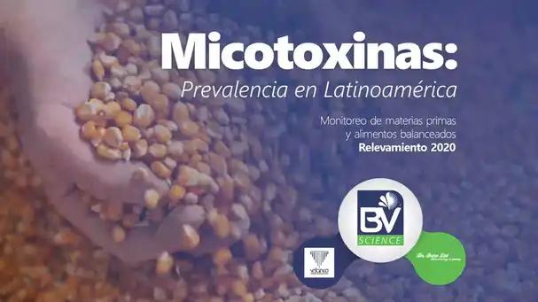 Prevalencia de las micotoxinas en Latinoamérica 2020