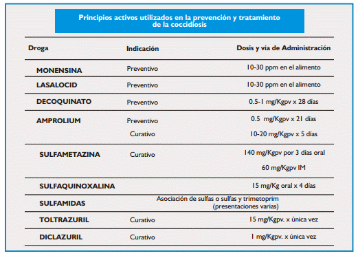 Coccidiosis de los bovinos - Image 6