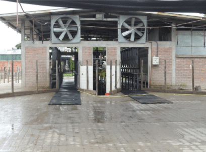 Corral de espera con sombra y ventilación.