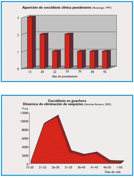 Coccidiosis de los bovinos - Image 5