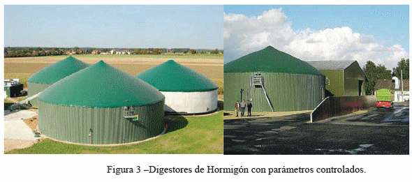 Valoración energética del purín de cerdos para la producciòn de energía eléctrica - Image 4