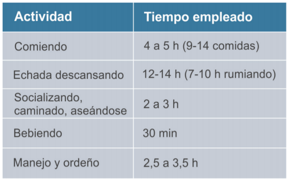 Actividades diarias de las vacas lecheras (Grant y Miner, 2015).