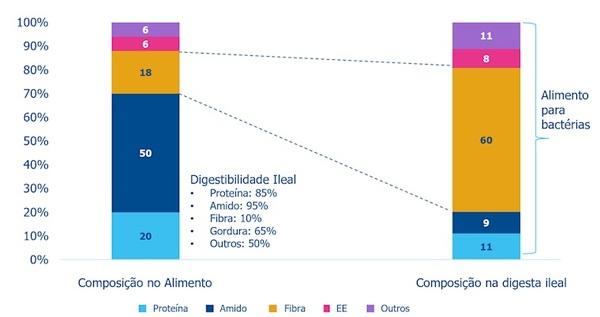 Fibra: Una palabra amplia, confusa y químicamente mal definida - Image 3