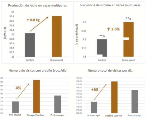 Concepto Magnasweet