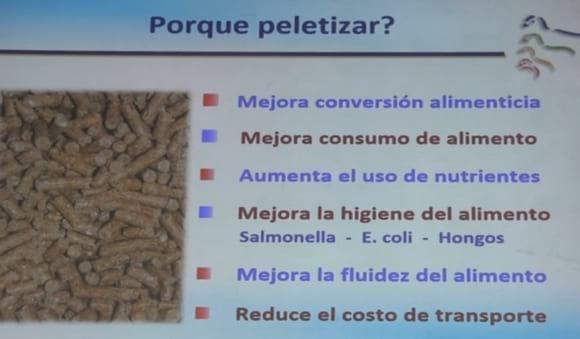 La fabricación de alimentos desde el punto de vista del nutricionista - Image 4