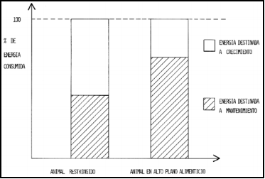 Crecimiento y desarrollo compensatorios - Image 2