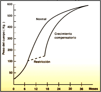 Crecimiento y desarrollo compensatorios - Image 1
