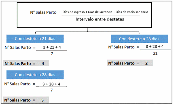 Sistema de Manejo en Bandas - Image 7