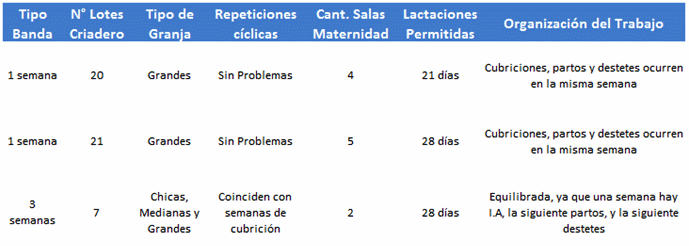 Sistema de Manejo en Bandas - Image 8