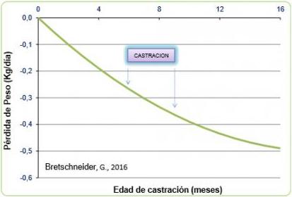 Castración: ¿cuanto antes, mejor? - Image 1