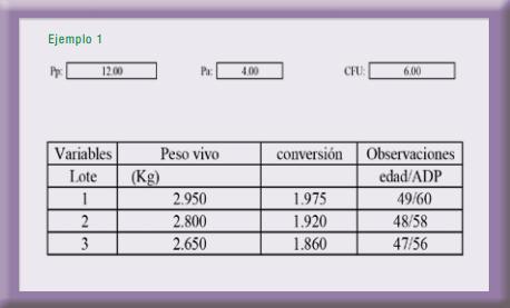 Medición de la productividad en lotes de parrilleros - Image 2