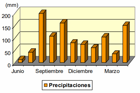 Biomasa Energética de Sorgo en Ubajay (Entre Ríos). INTA Manfredi y el Sorgo: Nuevos Desarrollos - Image 9