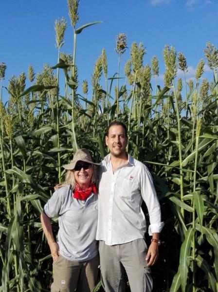 Biomasa Energética de Sorgo en Ubajay (Entre Ríos). INTA Manfredi y el Sorgo: Nuevos Desarrollos - Image 14