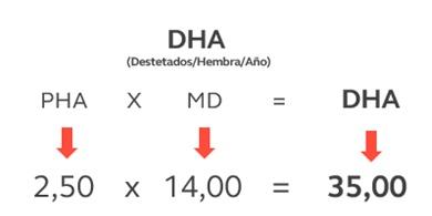 Los puntos claves para destetar 35 lechones por cerda año - Image 1