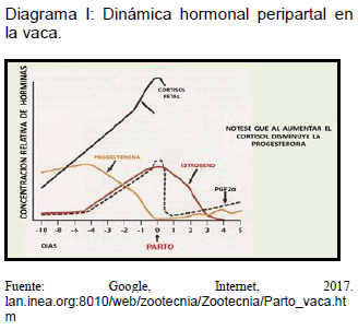 Sectores críticos en el ciclo de vida de la hembra bovina tipo leche; cuidados biotécnicos y manejo para el buen desarrollo, salud, bienestar y productividad - Image 6