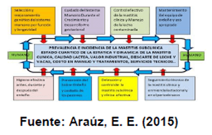 Sectores críticos en el ciclo de vida de la hembra bovina tipo leche; cuidados biotécnicos y manejo para el buen desarrollo, salud, bienestar y productividad - Image 28