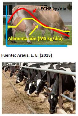 Sectores críticos en el ciclo de vida de la hembra bovina tipo leche; cuidados biotécnicos y manejo para el buen desarrollo, salud, bienestar y productividad - Image 24