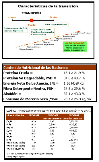 Sectores críticos en el ciclo de vida de la hembra bovina tipo leche; cuidados biotécnicos y manejo para el buen desarrollo, salud, bienestar y productividad - Image 5