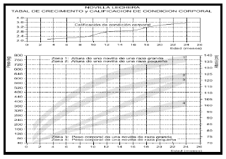 Sectores críticos en el ciclo de vida de la hembra bovina tipo leche; cuidados biotécnicos y manejo para el buen desarrollo, salud, bienestar y productividad - Image 18