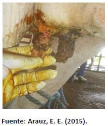 Sectores críticos en el ciclo de vida de la hembra bovina tipo leche; cuidados biotécnicos y manejo para el buen desarrollo, salud, bienestar y productividad - Image 19