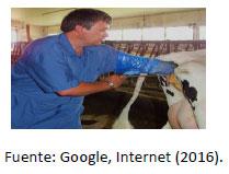 Sectores críticos en el ciclo de vida de la hembra bovina tipo leche; cuidados biotécnicos y manejo para el buen desarrollo, salud, bienestar y productividad - Image 21