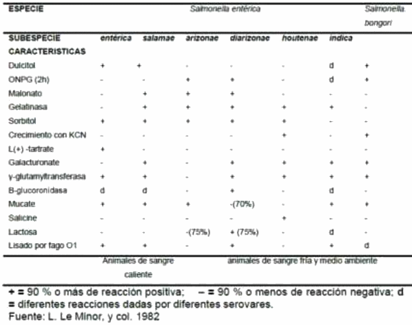 Diagnóstico e Identificación de serotipos de Salmonella a partir de muestras de avicultura: importancia de un buen muestreo. - Image 2