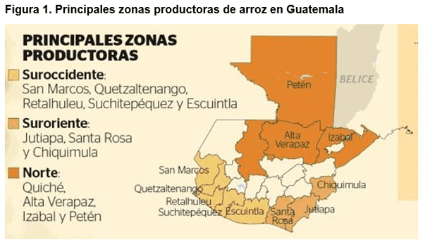 Criterios técnicos que limitan el uso de la cascarilla de arroz en la alimentación animal - Image 1