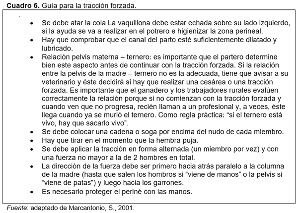 Tradiciones que perduran y errores que se siguen cometiendo en el manejo de los rodeos de cría. Técnicas superadoras - Image 11