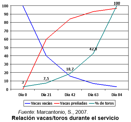 Tradiciones que perduran y errores que se siguen cometiendo en el manejo de los rodeos de cría. Técnicas superadoras - Image 14