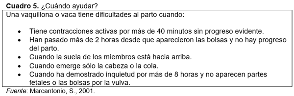 Tradiciones que perduran y errores que se siguen cometiendo en el manejo de los rodeos de cría. Técnicas superadoras - Image 9