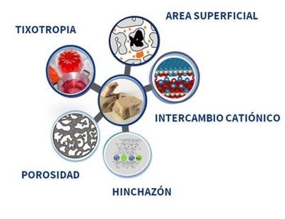 Micotoxinas, un verdadero problema - Image 1