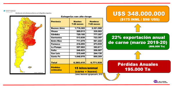 Estimación de las pérdidas anuales directas por parásitos internos en los bovinos