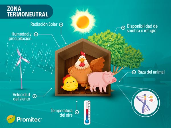 Estrés calórico en aumento para animales - Image 1